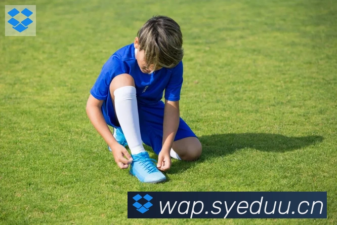 开云kaiyun入口荣誉