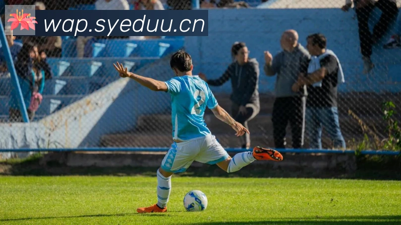 开云kaiyun入口荣誉