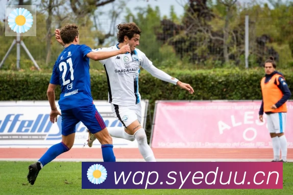 开云kaiyun入口荣誉