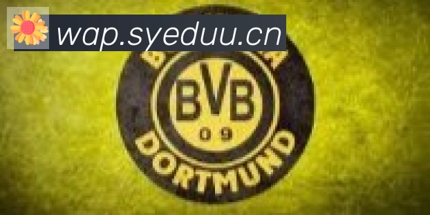 开云kaiyun入口合作伙伴